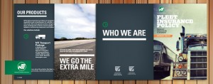 NATIONAL TRANSPORT INSURANCE (NTI)